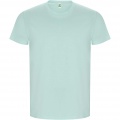 Golden T-Shirt für Herren, Minze