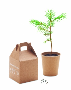 Logotrade Werbeartikel das Foto: Kiefernsamen-Set
