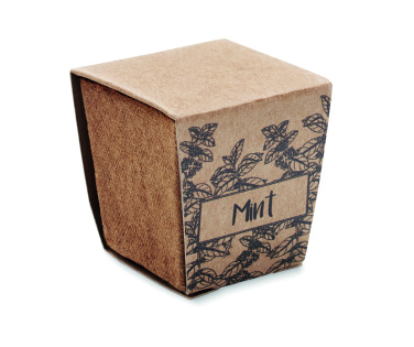 Logotrade Werbegeschenke das Foto: Pflanz-Set Minze
