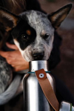 Logotrade werbemittel das Foto: Black+Blum isolierte Wasserflasche klein, 500ml