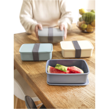 Logotrade Werbegeschenke das Foto: Dovi 800 ml Lunchbox