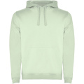 Urban Kapuzenpullover für Herren, Nebelgrün
