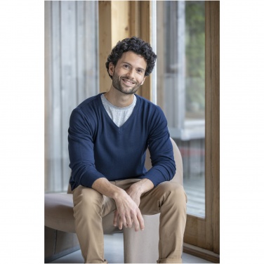 Logo trade business gift photo of: Stanton men's v-neck pullover