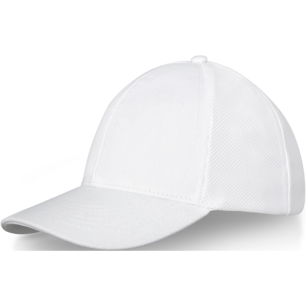 Logo trade promotional merchandise photo of: Drake 6 panel trucker cap