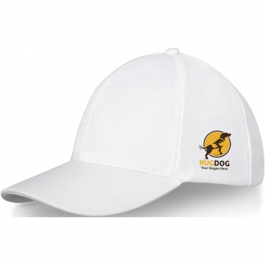 Logotrade promotional giveaways photo of: Drake 6 panel trucker cap