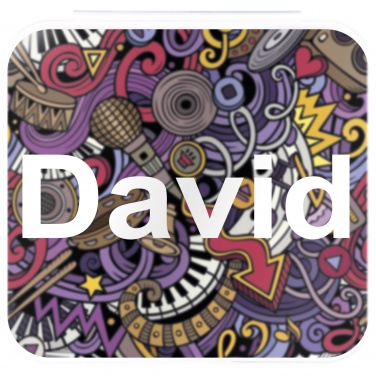 Logotrade promotional merchandise picture of: Incognito privacy kit