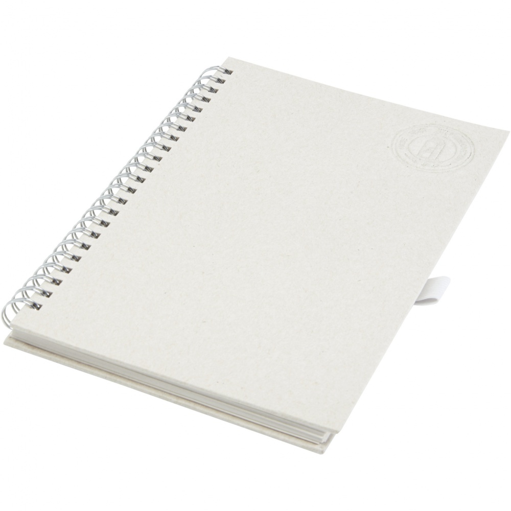 Logo trade promotional gifts picture of: Dairy Dream A5 size reference recycled milk cartons spiral notebook