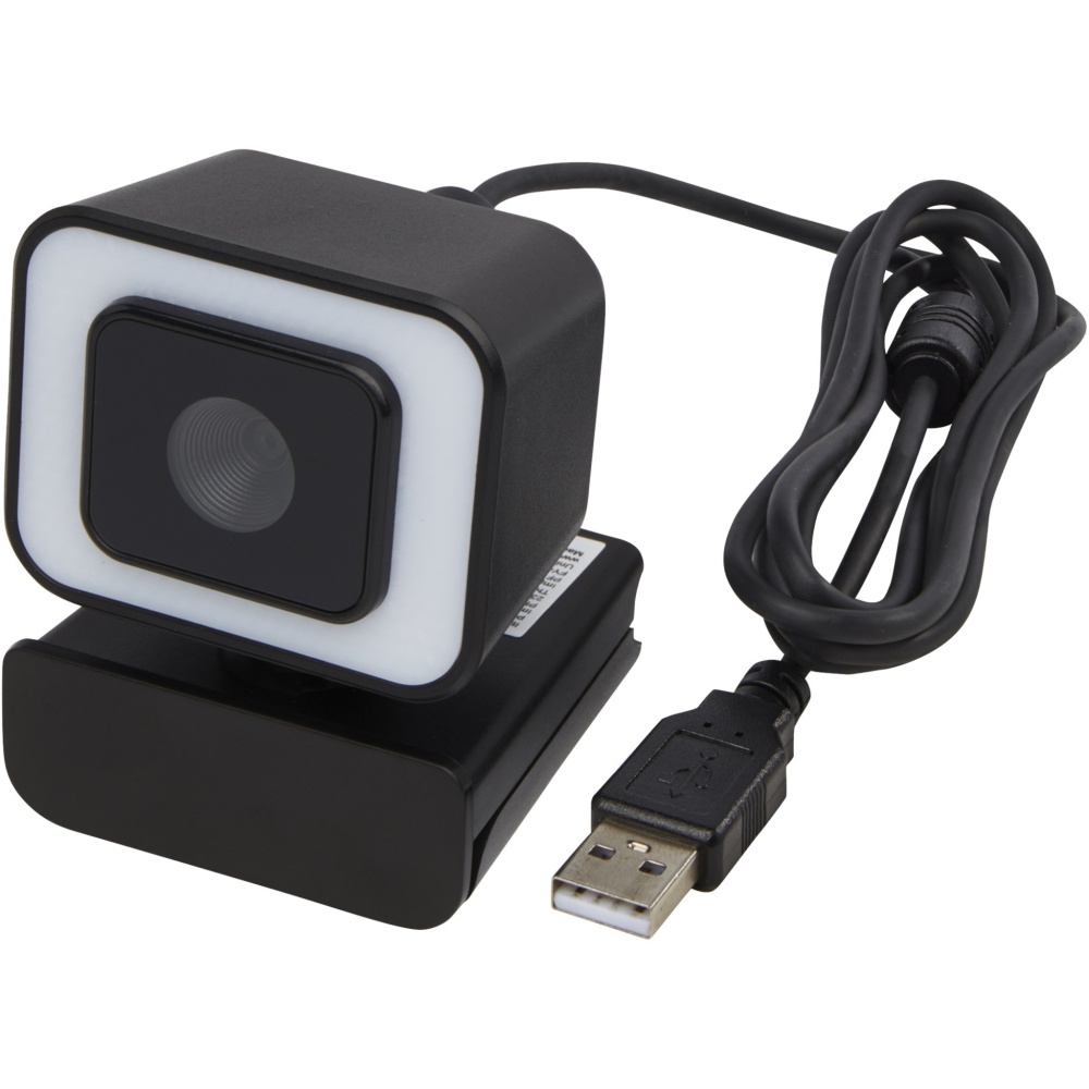 Logotrade promotional merchandise photo of: Hybrid webcam