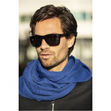 Logotrade corporate gift picture of: Eiger polarized sunglasses in recycled PET casing