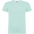 Beagle short sleeve men's t-shirt, Mint
