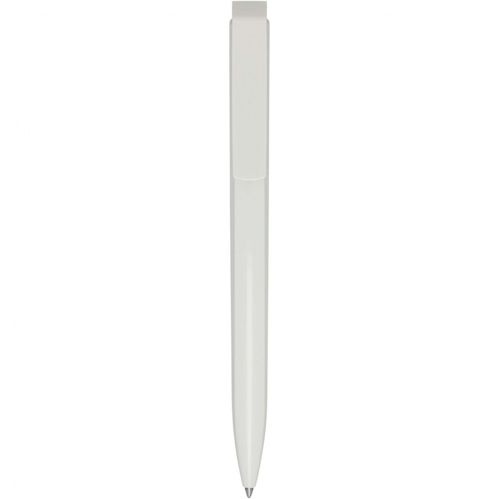 Logotrade corporate gift image of: Lucia recycled plastic ballpoint pen