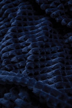 Logotrade advertising products photo of: VINGA Branson GRS rpet blanket