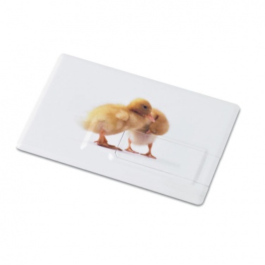 Logotrade corporate gifts photo of: Creditcard. USB flash 4GB