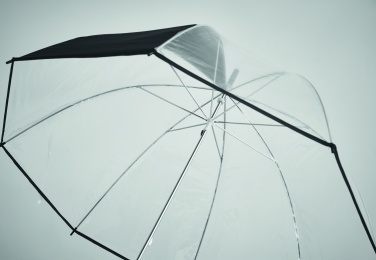 Logotrade business gift image of: Transparent 23 inch manual open umbrella