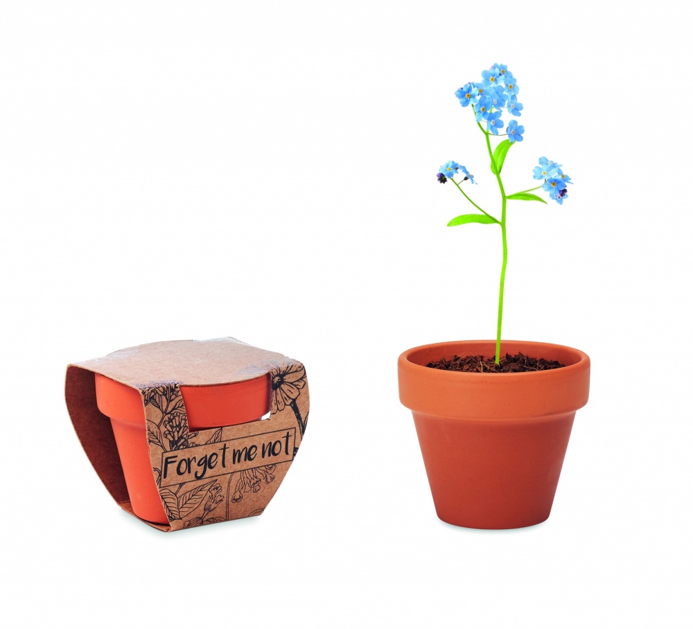 Logotrade promotional giveaway image of: Terracotta pot 'forget me not'