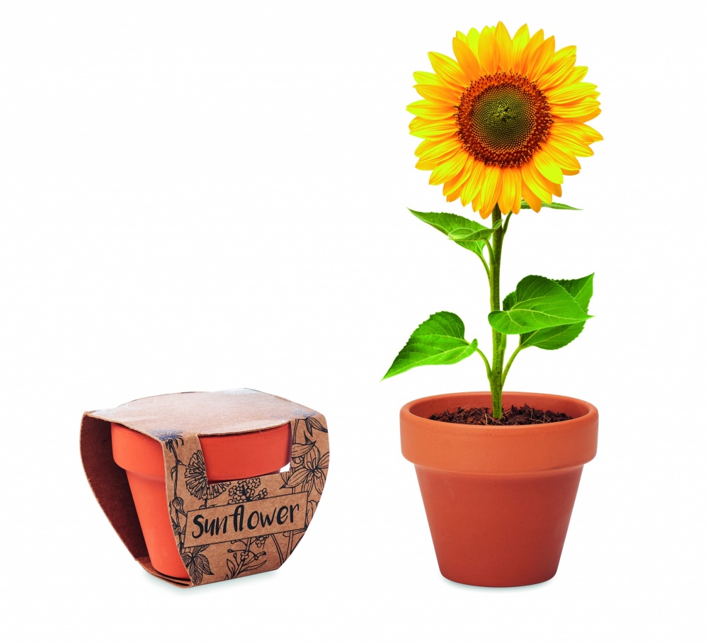 Logo trade promotional item photo of: Terracotta pot 'sunflower'