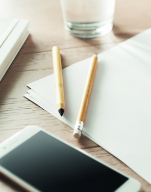 Logo trade promotional items picture of: Long lasting inkless pen