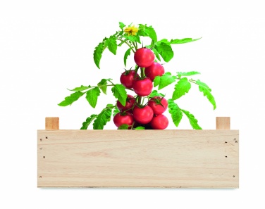 Logotrade business gift image of: Tomato kit in wooden crate
