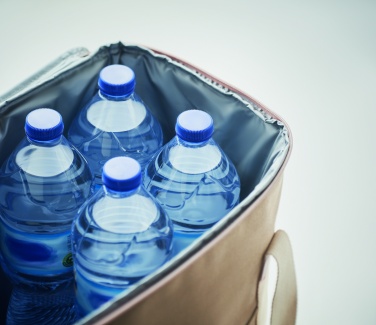 Logo trade promotional gift photo of: Large cooler bag canvas 450gr/m