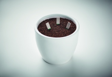 Logotrade promotional item picture of: Herb seeds sticks