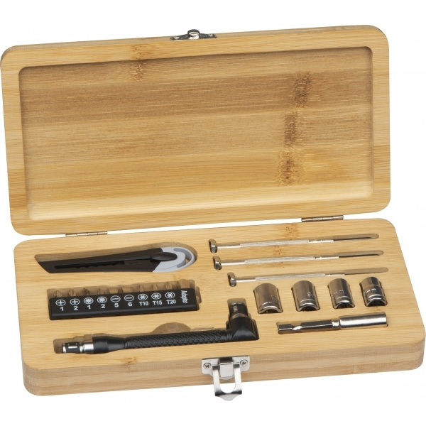 Logo trade promotional giveaway photo of: 22-piece tool set BERINGEN