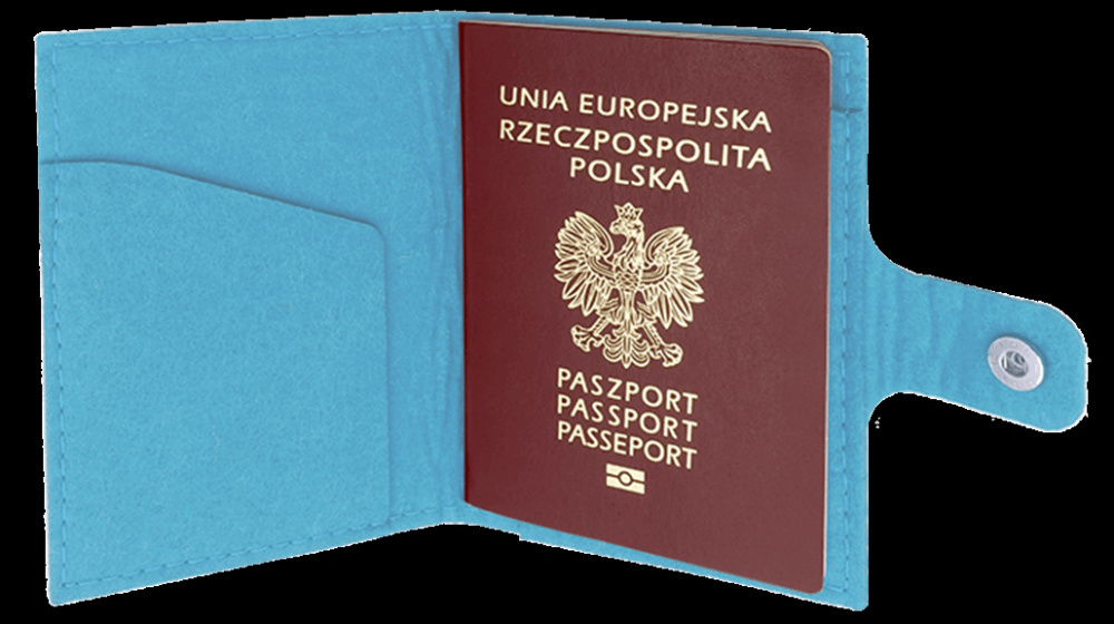 Logo trade advertising products image of: Passport case 84106200