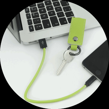 Logo trade promotional gifts image of: Keyring 59612900