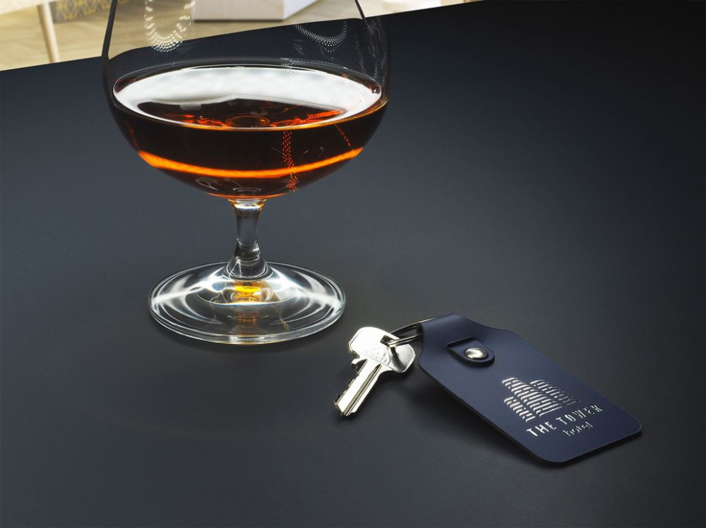 Logo trade promotional products image of: Keyring 1200094