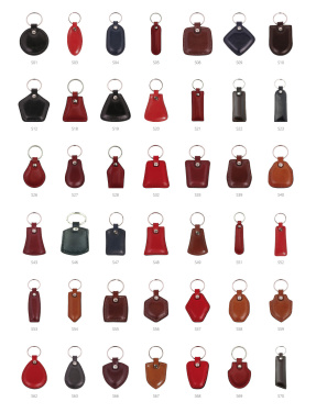 Logotrade promotional merchandise image of: Keyring 178011