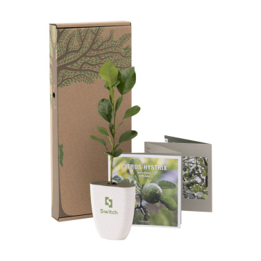 Logotrade corporate gifts photo of: Treemore Letterbox Trees Kaffir Lemon