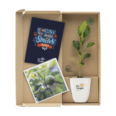 Logotrade business gifts photo of: Treemore Letterbox Trees Kaffir Lemon