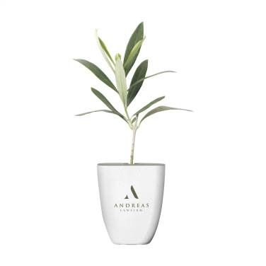 Logotrade promotional gifts photo of: Treemore Letterbox Trees Olive