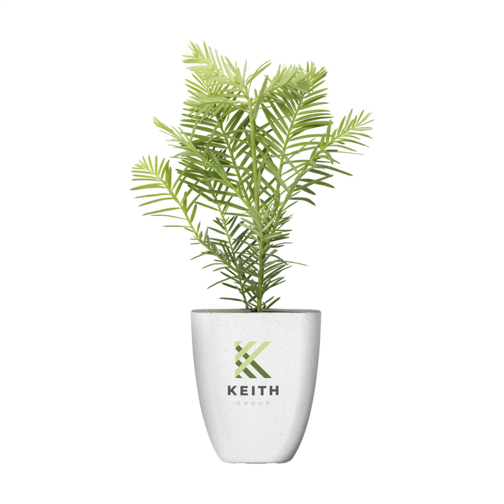Logo trade promotional products picture of: Treemore Letterbox Trees Giant Sequoia