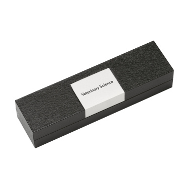 Logotrade promotional merchandise photo of: Princeton pen