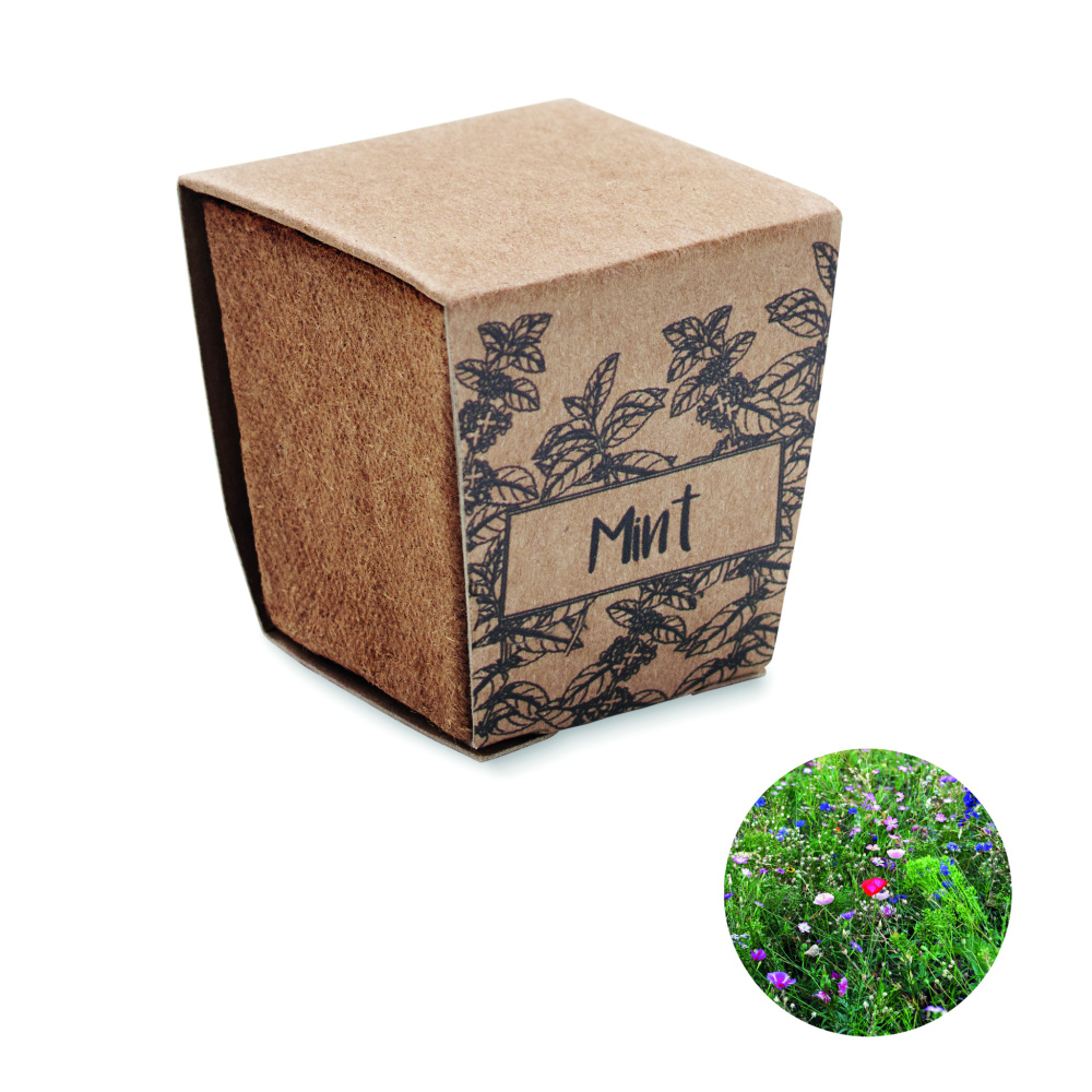 Logo trade promotional gift photo of: Mint seeds growing kit