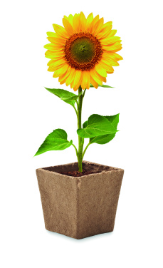 Logo trade corporate gifts image of: Sunflower growing kit