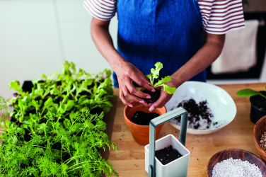 Logotrade corporate gift image of: Indoor garden with LED light