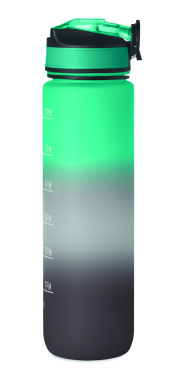 Logo trade corporate gifts image of: Sports water bottle RPET 1L