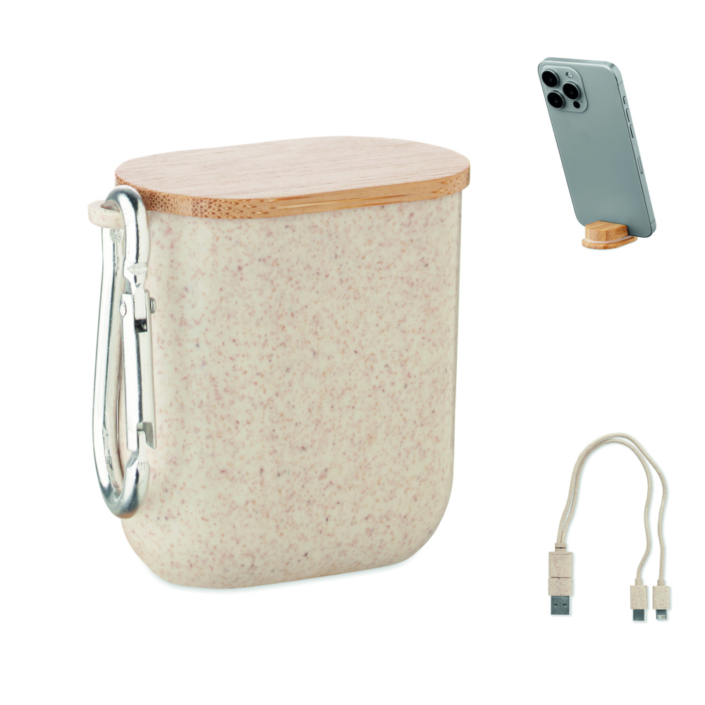 Logotrade promotional item picture of: Cable set in case