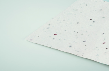 Logotrade promotional product image of: Wildflower seed business card.