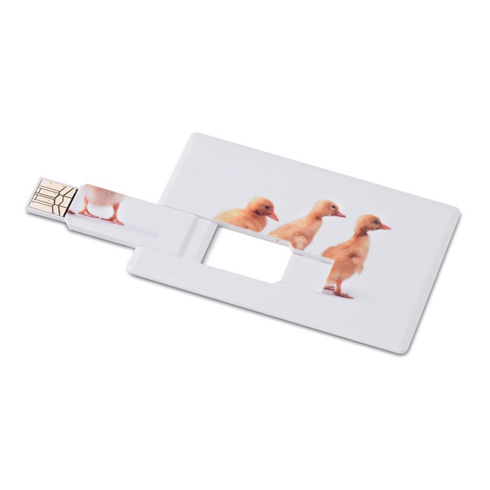 Logotrade reklaamkingid pilt: Krediitkaart. USB-välkmälu 4 GB