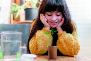 Logotrade meened pilt: Männipuu komplekt