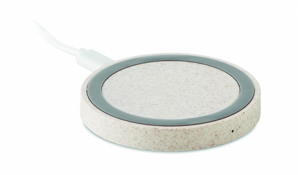 Logotrade ärikingituse foto: Nisukõrre/ABS laadija 5W