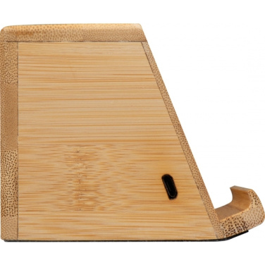 Logotrade firmakingitused pilt: Induktsioonkõlar NÜREMBERG