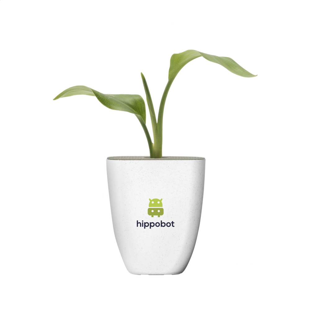 Logotrade ärikingid pilt: Treemore Letterbox Trees Paradiisilinnu taim