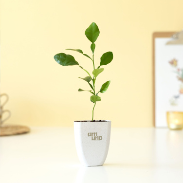 Logo trade firmakingid foto: Treemore Letterbox Trees Kaffir Lemon
