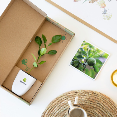 Logotrade reklaamkingid pilt: Treemore Letterbox Trees Kaffir Lemon