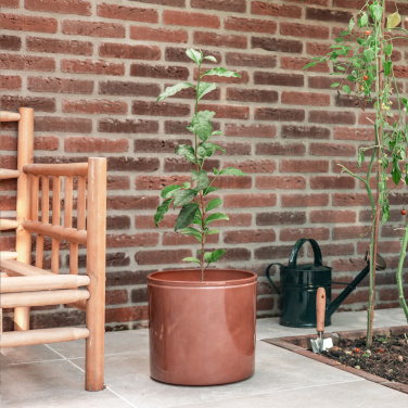 Logotrade meene foto: Treemore Letterbox Trees Teetaim