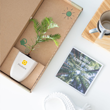 Logo trade meened foto: Treemore'i kirjakastipuud hiiglaslik sekvoia