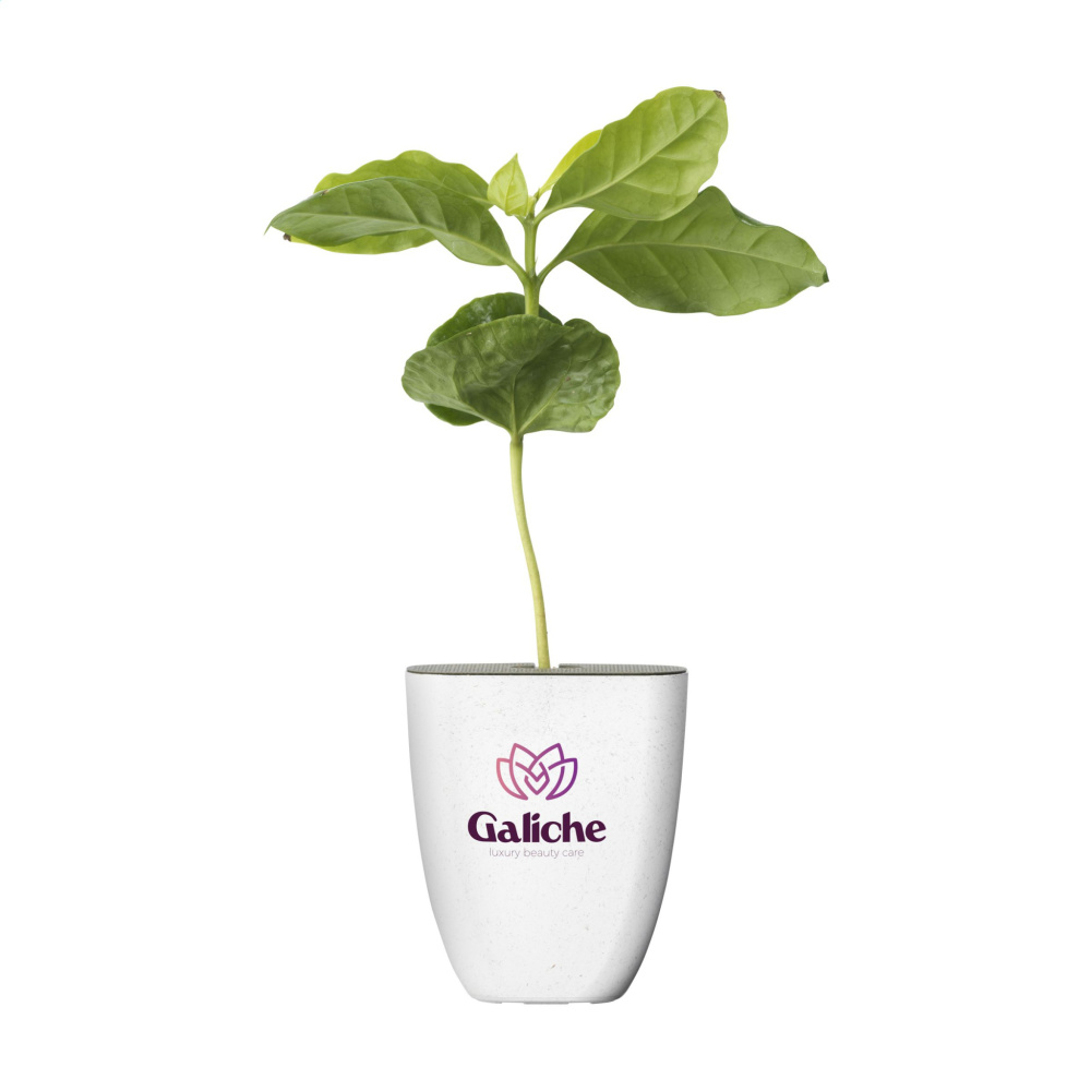 Logo trade liikelahja kuva: Treemore Letterbox Trees Kahvi